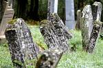 Vandal či vandalové poničili nejméně dvacítku náhrobních kamenů na staletém židovském hřbitově v Šafově. Hřbitov je přitom státem chráněnou kulturní památkou.