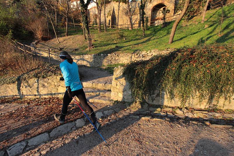 Chodec Janek Vajčner chtěl podpořit znojemskou nemocnici. Během soboty nachodil ve znojemských Karolininých sadech bezmála 60 kilometrů.