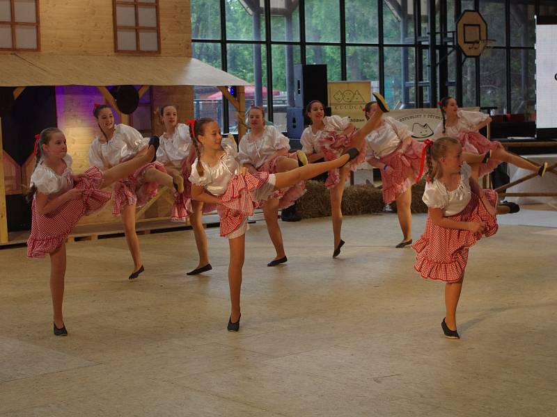 Country tance i stepařská vystoupení ovládla při mistrovství republiky parket, ve který se proměnila palubovka znojemské sportovní haly.
