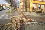 Silný poryv větru vyvrátil část vzrostlého topolu v ulici Jubilejní park. Strom spadl na přechod pro chodce v sousedství školy.