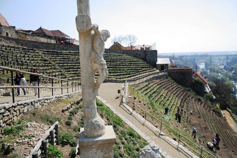 Nově zrekonstruovanou turistickou atrakci nabízí letos milovníkům vína a krásných výhledů do krajiny společnost Lahofer. Lidé mohou navštívit romantický hrádek Lampelberg, který nabízí od začátku června do poloviny září degustaci vína. 