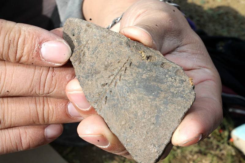 Archeologové našli na části stavby obchvatu v lokalitě Pazderky lidské kosterní pozůstatky i keramiku.