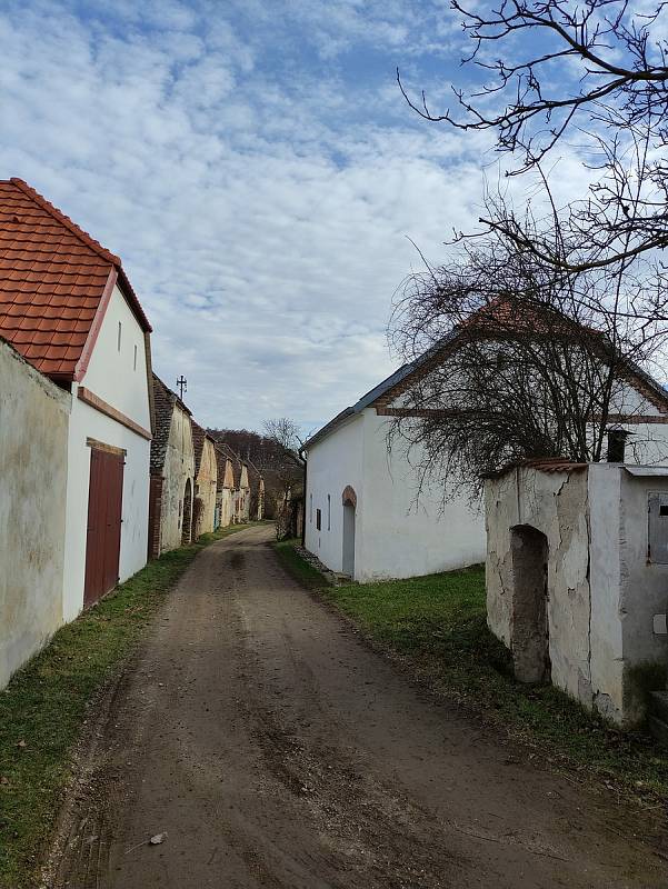 Ulička vinných sklepů v Popicích.