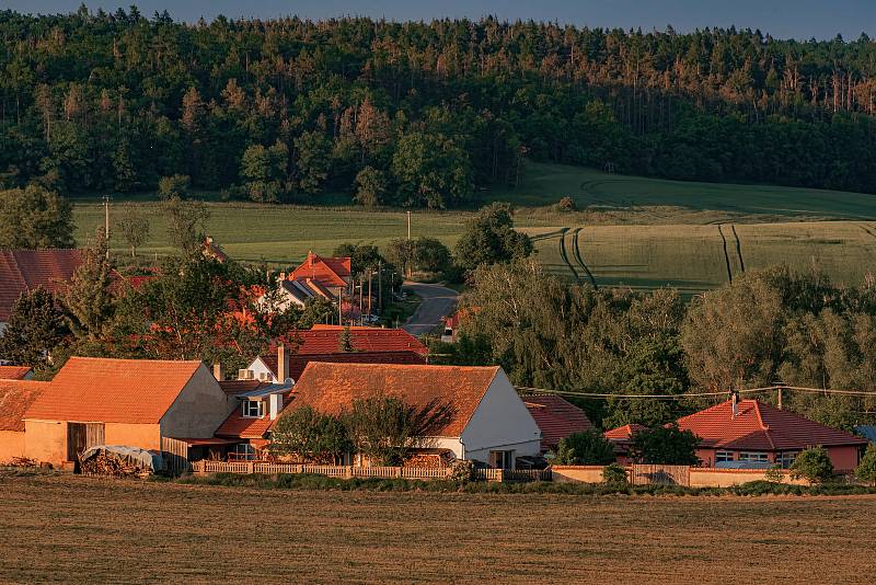 Podvečerní procházka okolím Boskovštejna.