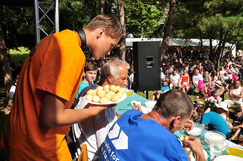 V Miroslavi na Znojemsku oslavili 800 let města meruňkobraním a soutěží o Krále knedlíků.