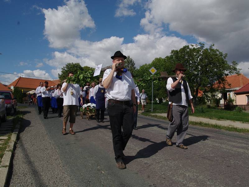 Strážci vinic uzavřeli vinohrady pro všechny kolemjdoucí až do skončení sklizně hroznů.