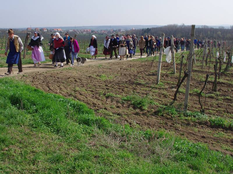 Slavnostní otevření naučné stezky Hroznové kozy ve Vrbovci přilákalo několik stovek návštěvníků.