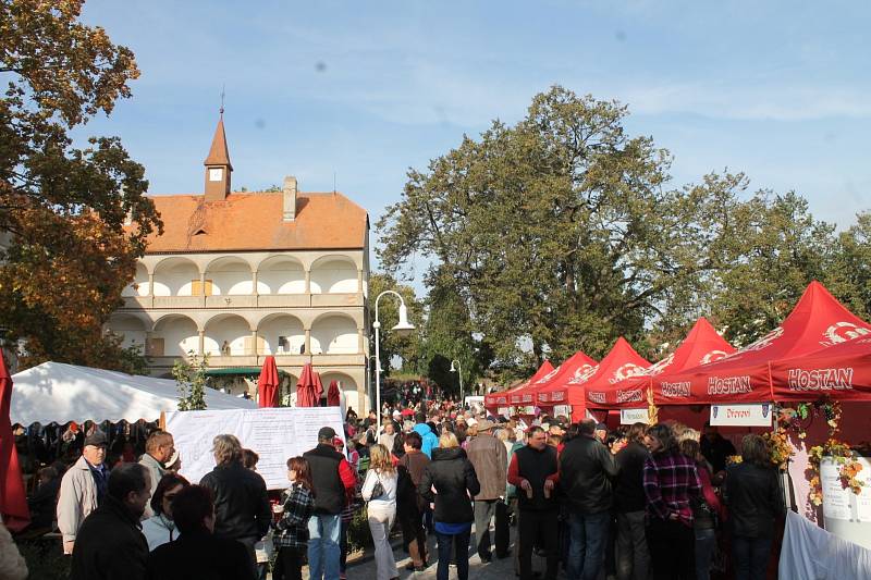 Přestože ostrý vítr cuchal co chvíli lidem vlasy, letošní Podzimní bohutické slavnosti si v sobotu nenechaly ujít zástupy návštěvníků. Až na vítr počasí slavnostem přálo.