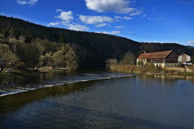 Procházka proti proudu Dyje nad Vranovem.