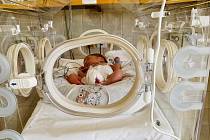 Nový inkubátor, prvním miminkem v inkubátoru byl Ondrášek Tomek. Se souhlasem Nemocnice Znojmo.