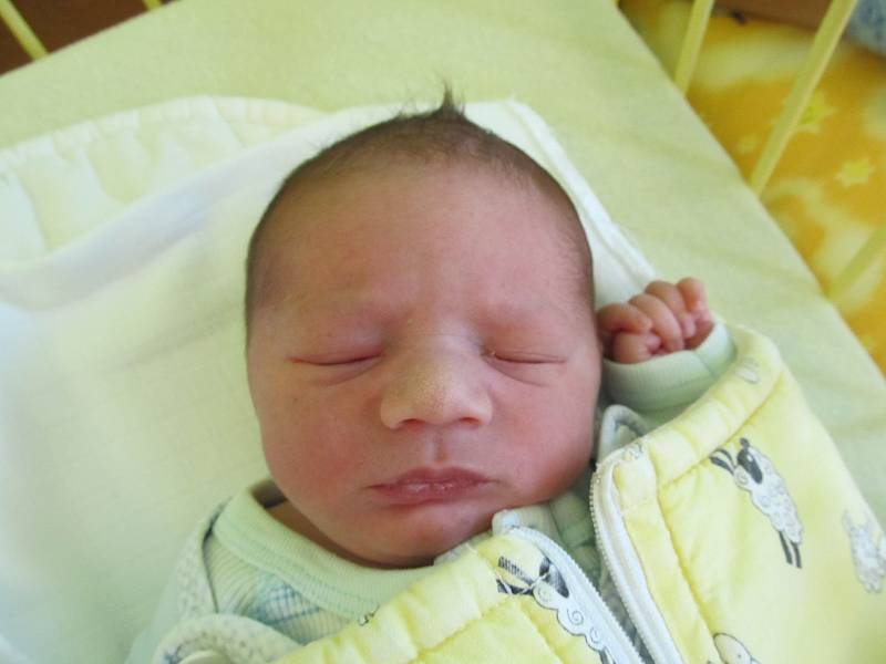 Alan Pereira De Brito, 19.5., 48 cm, 3290 g, Vrbovec 