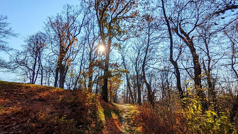 Podzimní procházka parkem u uherčického zámku.