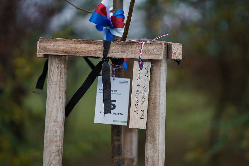 V Šatově zasadili Alej svobody. Foto:Jakub Caha