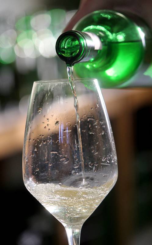 V Žeroticích se o víkendu sešli především místní vinaři a milovníci vína, aby se společně pobavili a ochutnali vína drobných vinařů.