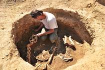 Kostru koně i pohřeb dítěte před 4 tisíci lety odkryly archeologické nálezy v lokalitě Na Kačence u Moravského Krumlova. Na snímku archeolog David Humpola.