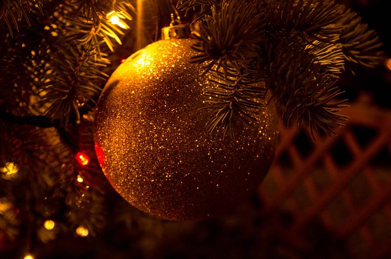 S první nedělí adventní se do Znojma vrátil oblíbený Znojemský advent. Rozsvícení vánočního stromu přilákalo tisíce návštěvníků.