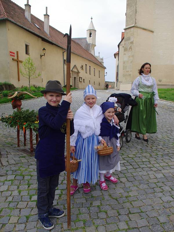 Víc než stovka účastníků tradičního jarního průvodu doprovodila v sobotu Hroznového kozla, kterého členové Spolku přátel Hroznové kozy vynesli do vinic v Popicích.