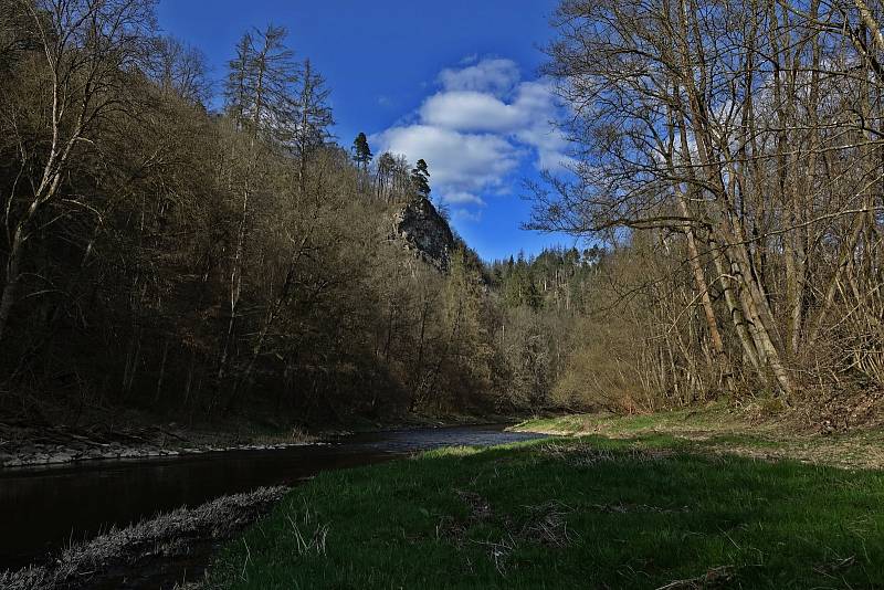 Procházka proti proudu Dyje nad Vranovem.