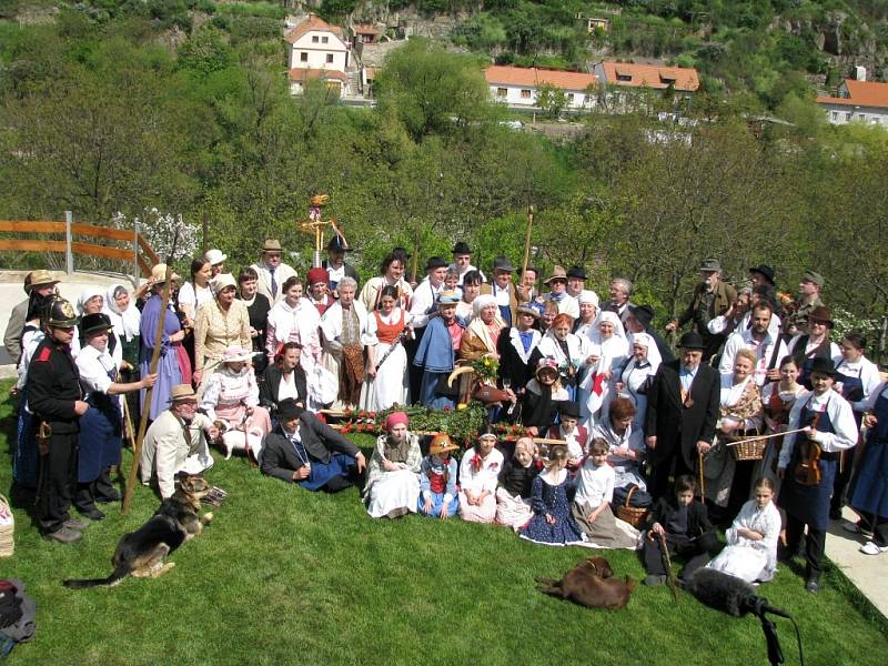 Hroznová koza míří do vinohradu