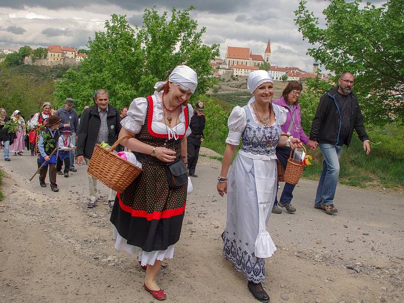 Tradiční vynášení Hroznového kozla ze Znojma do vinic u Konic opět přilákalo víc než stovku účastníků.