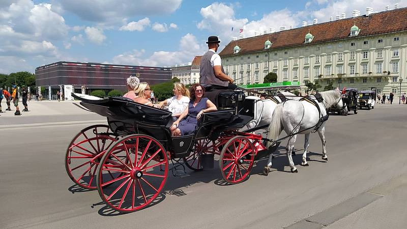 Z letního výletu do Vídně. Bryčky na Heldenplatz v Hofburgu.