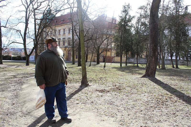 Park u Louckého kláštera plánuje společně se sousedními plochami blízko řeky Dyje a náhonu u Vránova mlýna revitalizovat vedení Znojma.