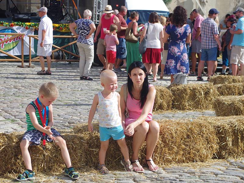 Centrum Znojma patřilo v závěru týdne desátým Slavnostem okurek.