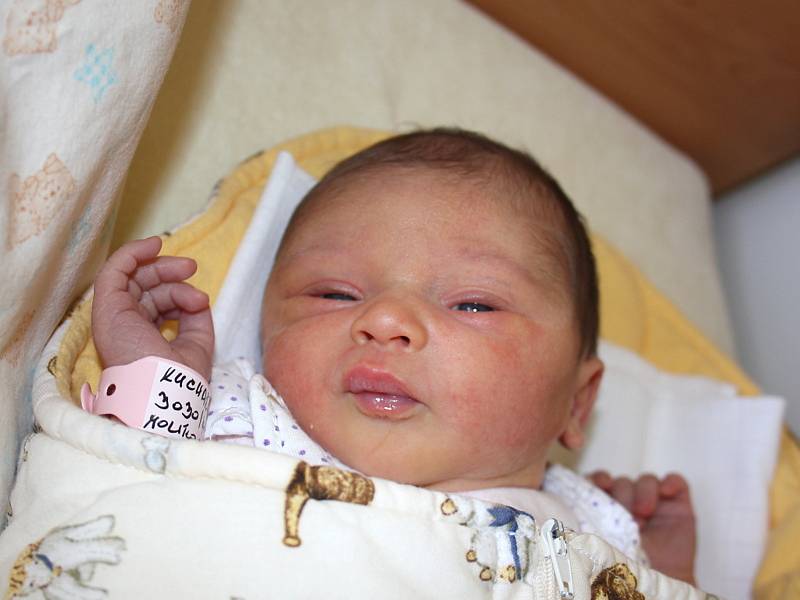 Denisa Kuchařová, 3. 7. 2013, 49 cm, 3 030 g, Kuchařovice