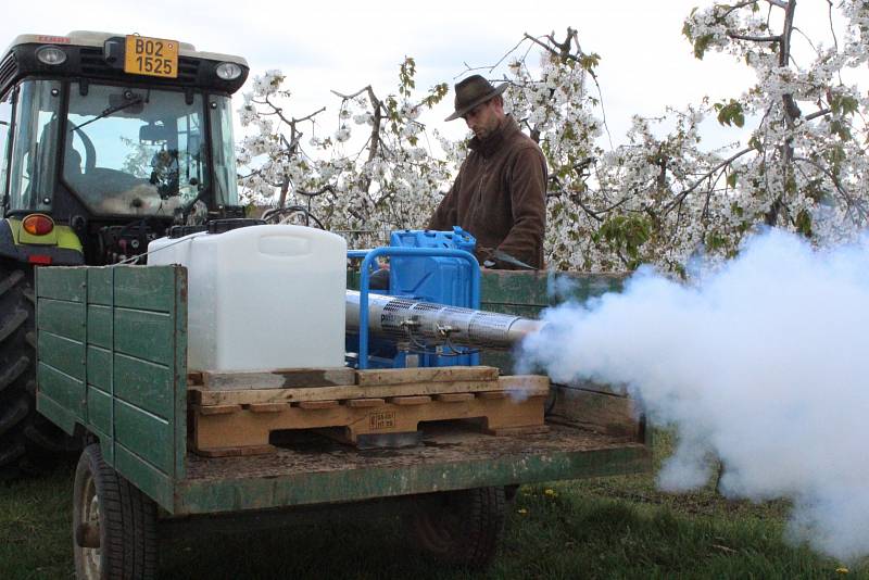 Stroj na výrobu umělé mlhy budou v případě mrazu letos vůbec poprvé zkoušet ovocnáři ze společnosti AGRO Stošíkovice na Znojemsku. Na snímku vedoucí sadů Jan Marek.