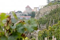 Terasy Rajské vinice ve Znojmě zpevní beton