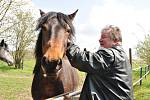 Koně jsou jeho celoživotní láskou. Milan Kadlečík z Litobratřic na Znojemsku k nim utíká od starostovských povinností.