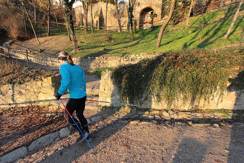 Chodec Janek Vajčner chtěl podpořit znojemskou nemocnici. Během soboty nachodil ve znojemských Karolininých sadech bezmála 60 kilometrů.