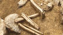 Na trase budoucího obchvatu Znojma našli archeologové další hroby a kostry.
