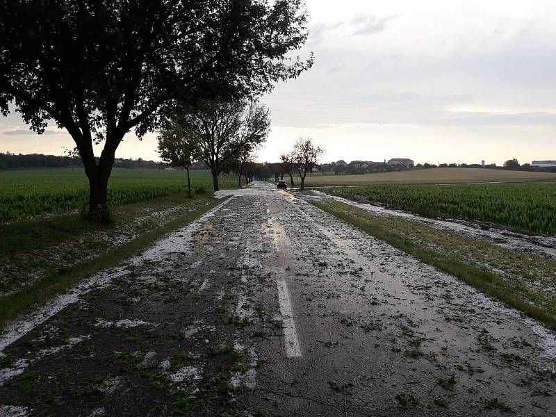 Kroupy zničily úrodu ve Višňovém na Znojemsku.