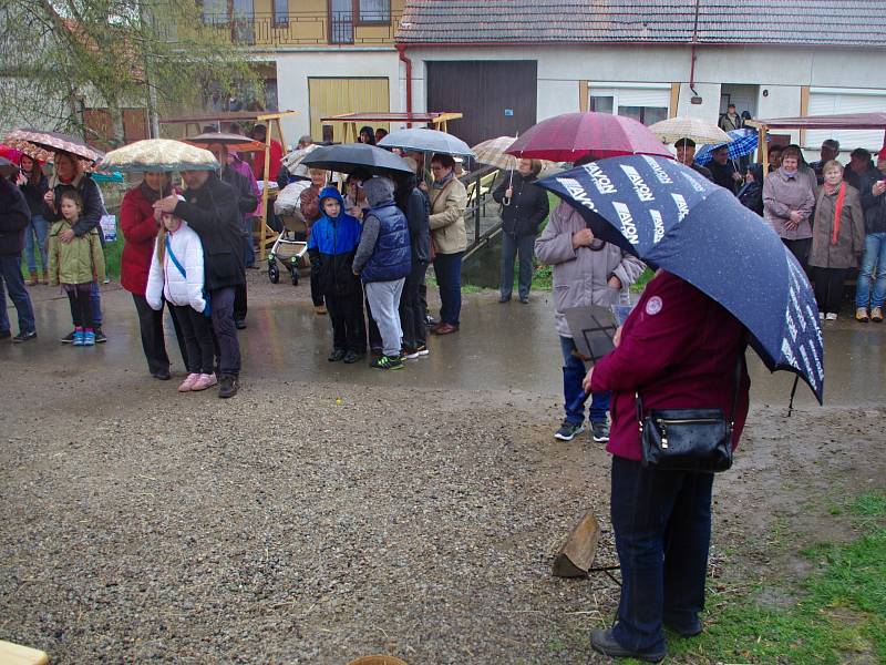 Od návštěvy slavnostního otevření obecní doškovice v Petrovicích návštěvníky neodradil ani vytrvalý déšť.