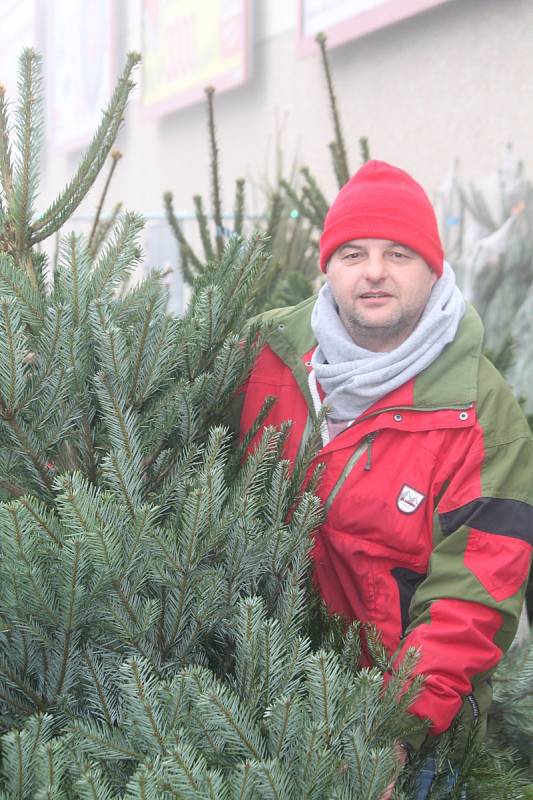 Prodej vánočních stromků ve Znojmě začal.