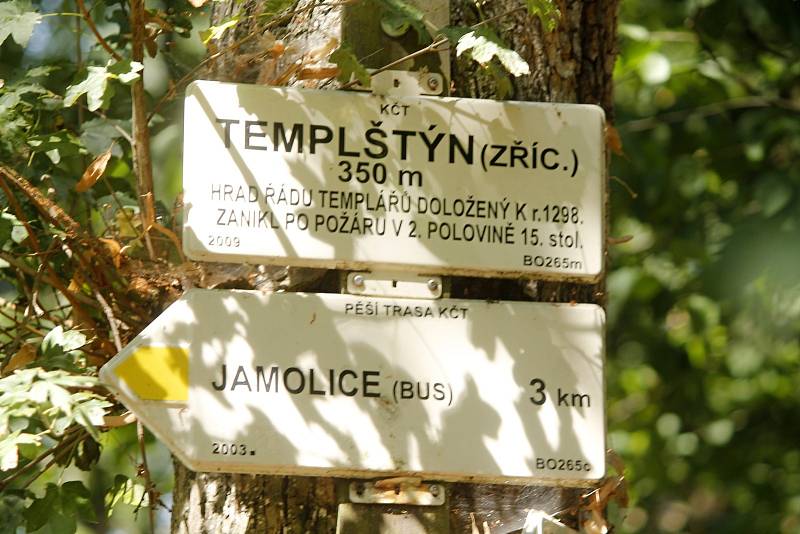 Skupinka mladých lidí pracuje na zřícenině hradu Templštejn. Patří k hnutí Brontosaurus.