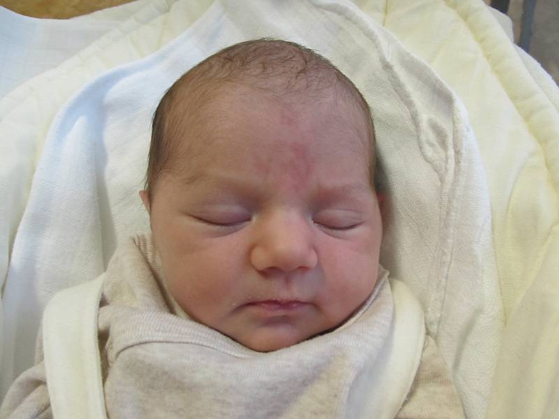 Adéla Neužilová, 4.11., 50 cm, 2820 g, Přímětice