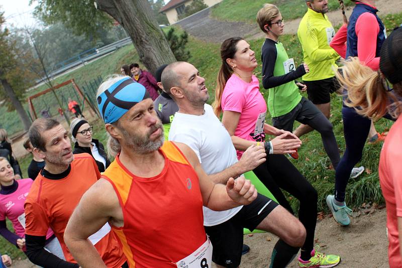 Třetí ročník běžeckého závodu Plavečský sokolák přilákal druhou říjnovou sobotu více než padesát běžců.