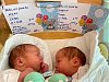 Rekord: ve Znojmě se od začátku roku narodila už třetí dvojčata, podívejte se