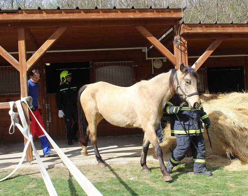 Dobrovolní hasiči z Černína a jejich kolegové měli unikátní cvičení. Profesionální záchranář Tomáš Förchtgott jim ukazoval, zak zachraňovat koně z hořících stájí.