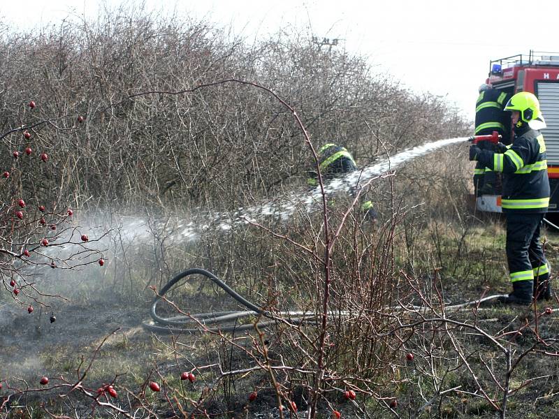 Přibližně dva hektary travnaté plochy hořely u silnice před Popicemi u Znojma. Na místě zasahovalo několik jednotek hasičů. Byli mezi nimi profesionálové ze Znojma, ale také dobrovolní hasiči ze Šatova či Suchohrdel.