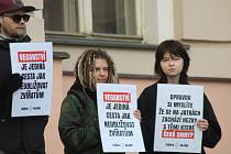 Týrání na jatkách v Hraběticích řeší Okresní soud ve Znojmě. Na problematiku upozornili ještě před jednáním aktivisté.