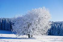Nízká je pravděpodobnost, že letos bude Štědrý den na jihu Moravy na sněhu. Snímek je ilustrační.