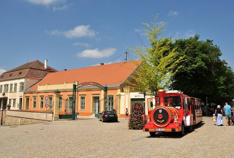 Unikátní republikový projekt Máš to zadax přilákal do Znojma o třetinu více turistů než v roce před Covid-19.