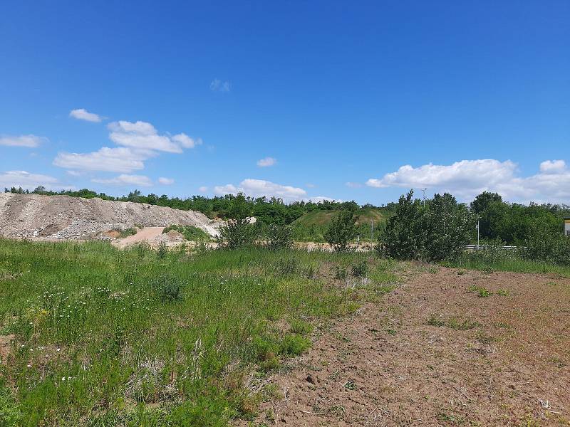V bývalé pískovně v Božicích na Znojemsku má vyrůst skládka odpadu, místní se bojí o kontaminaci podzemních vod.