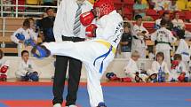 Mezinárodní turnaj v korejském bojovém umění Taekwon-do. Ilustrační fotografie.