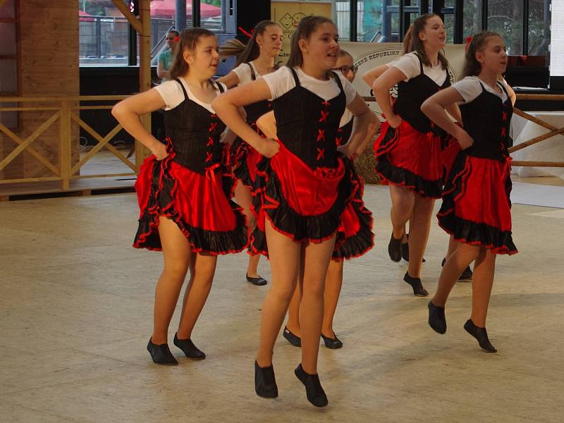 Country tance i stepařská vystoupení ovládla při mistrovství republiky parket, ve který se proměnila palubovka znojemské sportovní haly.