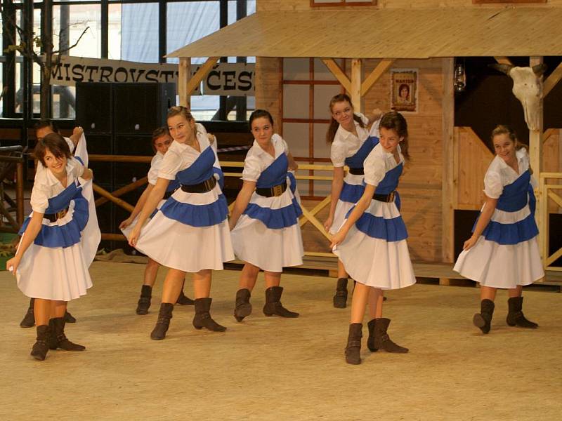 V sobotu se ve sportovní hale v Horním parku konalo Mistrovství republiky v country tancích.