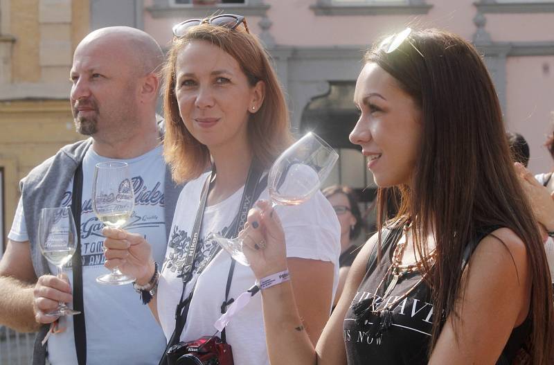 Páteční první den Vinobraní nabídl hned zkraje koncert slovenského finalisty talentové soutěže Mira Šmajdy. Lidi bavili umělci, všude bylo k dostání víno a také burčák. Svůj nový týdeník s názvem Naše Znojemsko nabízel stánek regionálního Deníku.